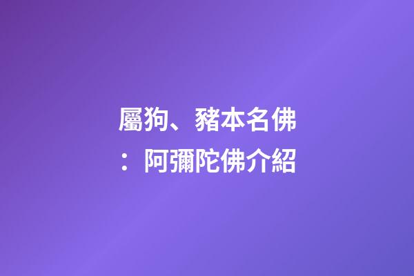 屬狗、豬本名佛：阿彌陀佛介紹