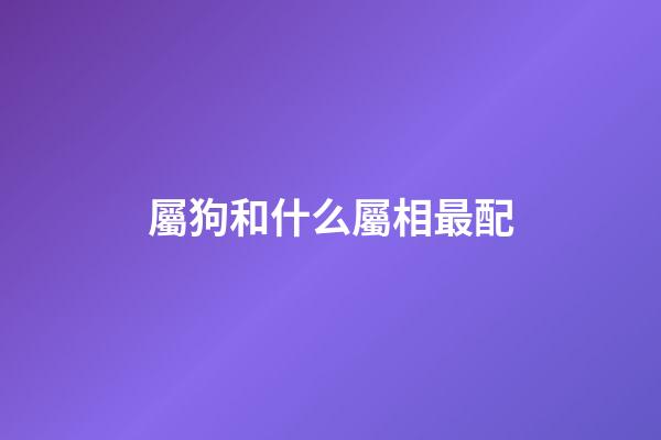屬狗和什么屬相最配（屬狗最忌諱的兩個屬相）-第1張-星座運勢-玄機派