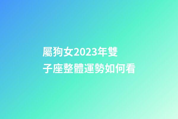 屬狗女2023年雙子座整體運勢如何看-第1張-星座運勢-玄機派