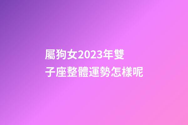 屬狗女2023年雙子座整體運勢怎樣呢-第1張-星座運勢-玄機派