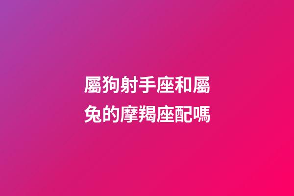 屬狗射手座和屬兔的摩羯座配嗎-第1張-星座運勢-玄機派