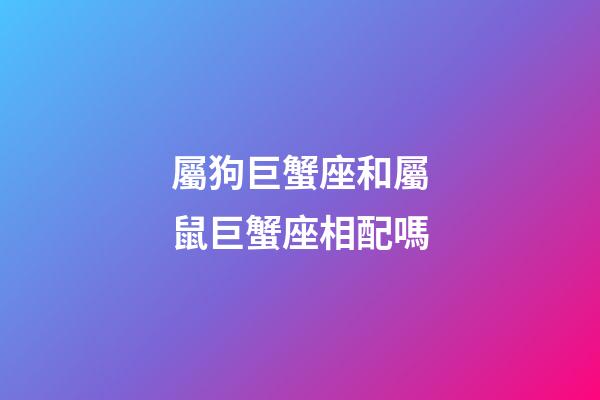 屬狗巨蟹座和屬鼠巨蟹座相配嗎-第1張-星座運勢-玄機派