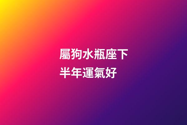 屬狗水瓶座下半年運氣好