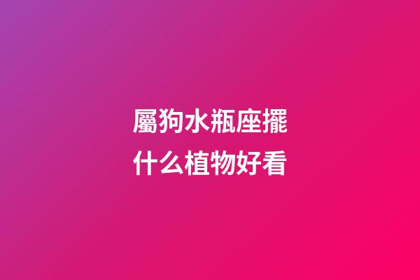 屬狗水瓶座擺什么植物好看
