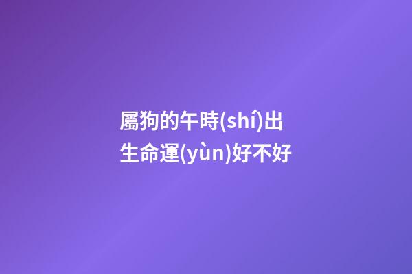 屬狗的午時(shí)出生命運(yùn)好不好