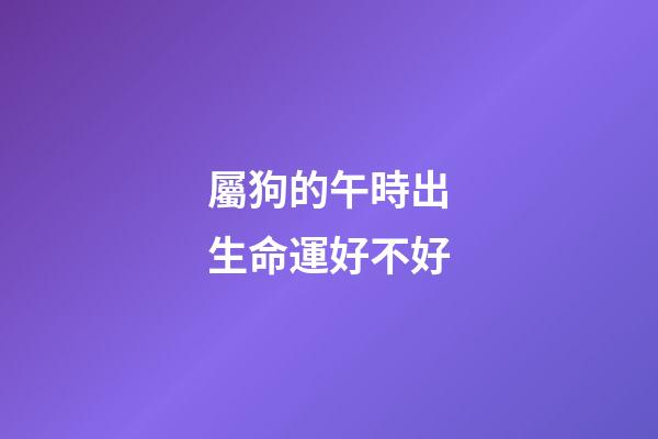 屬狗的午時出生命運好不好