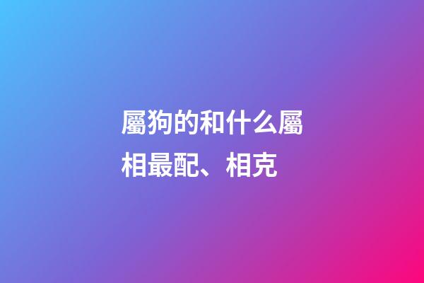 屬狗的和什么屬相最配、相克（狗跟什么相沖相克）-第1張-星座運(yùn)勢-玄機(jī)派