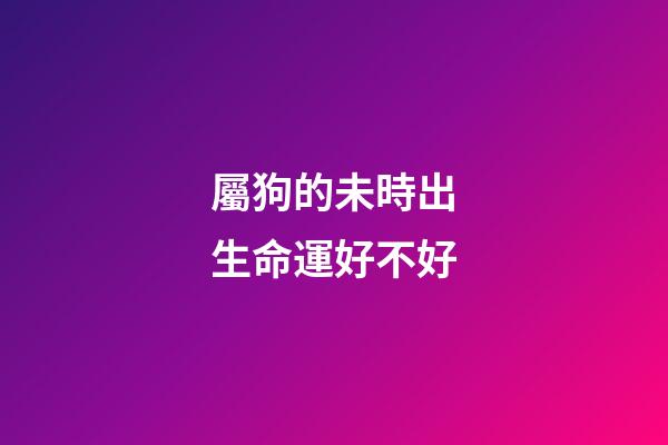 屬狗的未時出生命運好不好