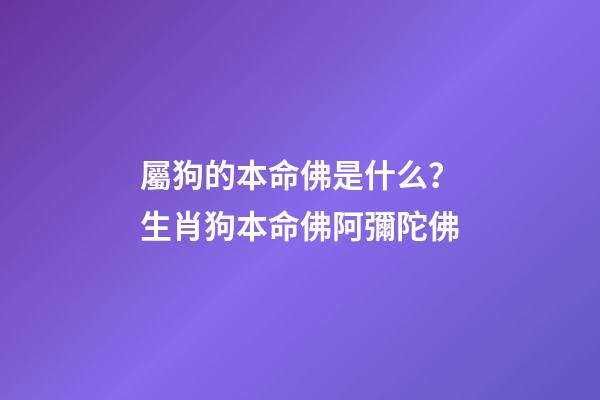 屬狗的本命佛是什么？生肖狗本命佛阿彌陀佛