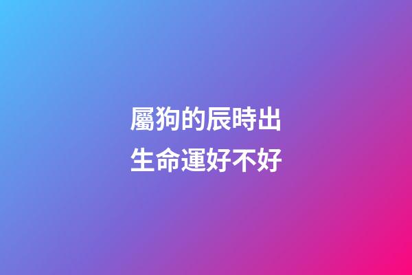 屬狗的辰時出生命運好不好