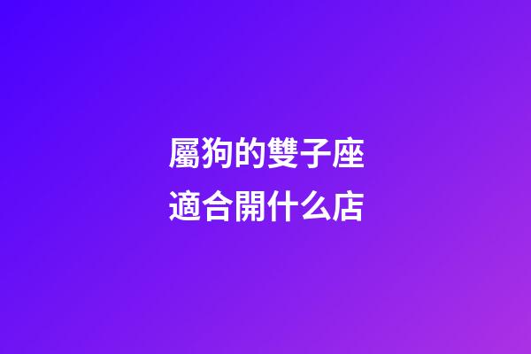 屬狗的雙子座適合開什么店-第1張-星座運勢-玄機派