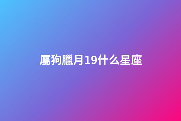 屬狗臘月19什么星座-第1張-星座運(yùn)勢(shì)-玄機(jī)派