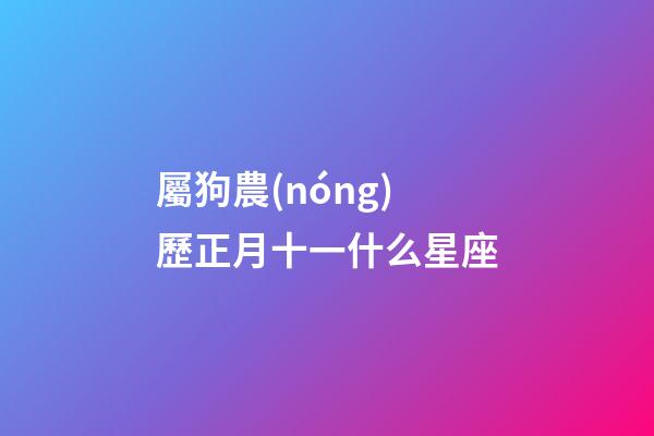 屬狗農(nóng)歷正月十一什么星座