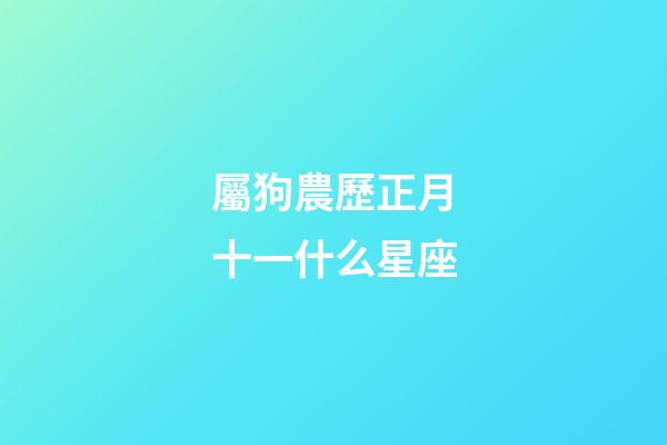 屬狗農歷正月十一什么星座