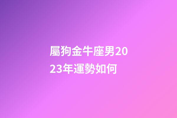 屬狗金牛座男2023年運勢如何-第1張-星座運勢-玄機派