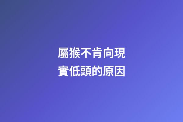 屬猴不肯向現實低頭的原因