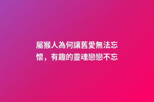 屬猴人為何讓舊愛無法忘懷，有趣的靈魂戀戀不忘