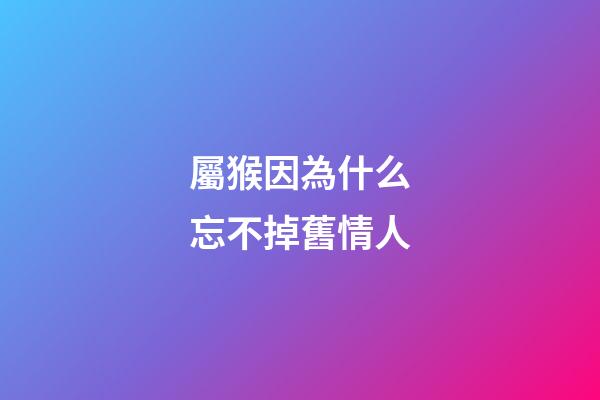 屬猴因為什么忘不掉舊情人