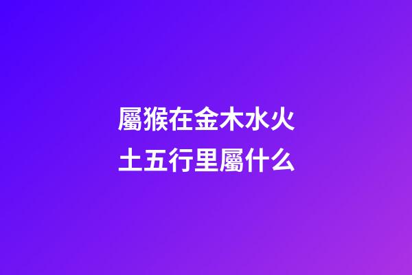 屬猴在金木水火土五行里屬什么