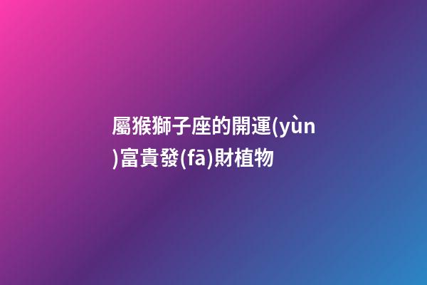屬猴獅子座的開運(yùn)富貴發(fā)財植物