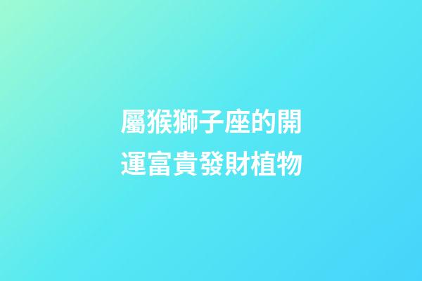 屬猴獅子座的開運富貴發財植物-第1張-星座運勢-玄機派