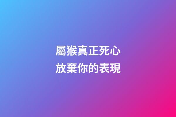 屬猴真正死心放棄你的表現