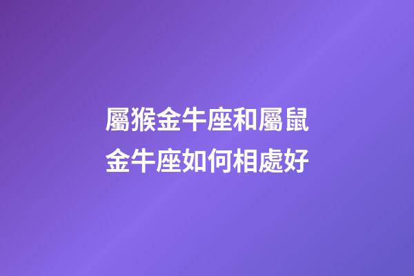 屬猴金牛座和屬鼠金牛座如何相處好-第1張-星座運勢-玄機派