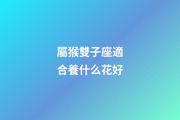 屬猴雙子座適合養什么花好-第1張-星座運勢-玄機派
