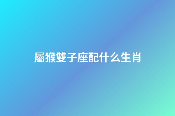 屬猴雙子座配什么生肖-第1張-星座運(yùn)勢-玄機(jī)派