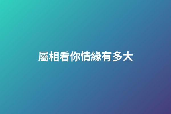 屬相看你情緣有多大