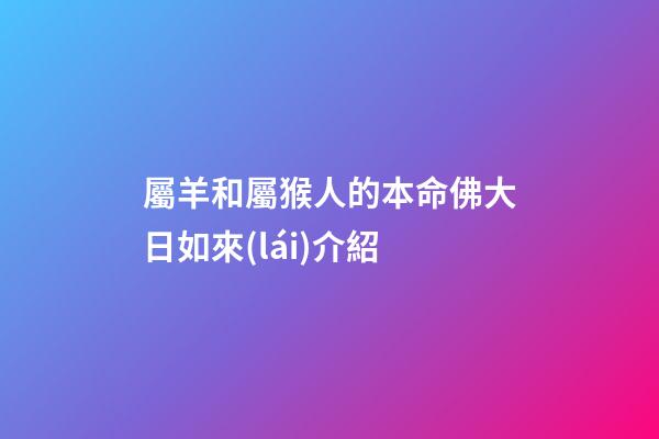屬羊和屬猴人的本命佛大日如來(lái)介紹
