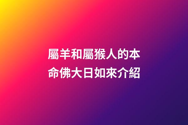 屬羊和屬猴人的本命佛大日如來介紹