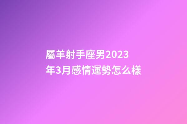 屬羊射手座男2023年3月感情運勢怎么樣-第1張-星座運勢-玄機派