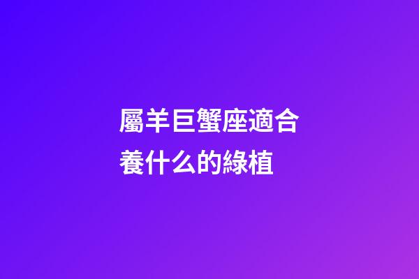 屬羊巨蟹座適合養什么的綠植-第1張-星座運勢-玄機派