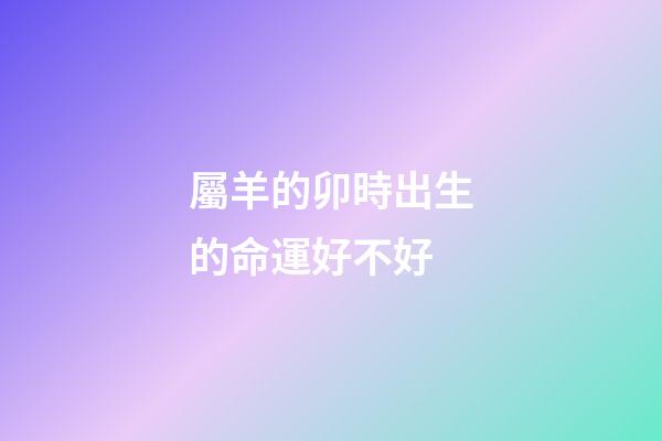 屬羊的卯時出生的命運好不好