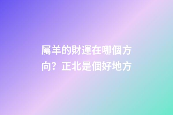屬羊的財運在哪個方向？正北是個好地方