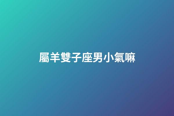 屬羊雙子座男小氣嘛