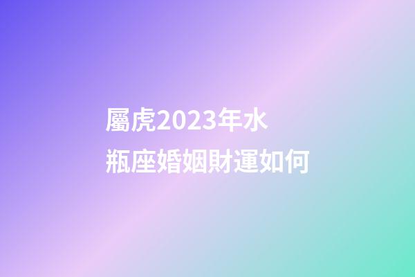 屬虎2023年水瓶座婚姻財運如何-第1張-星座運勢-玄機派