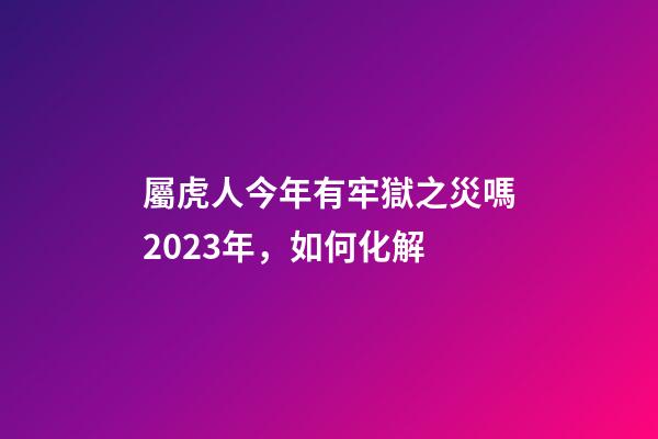屬虎人今年有牢獄之災嗎2023年，如何化解