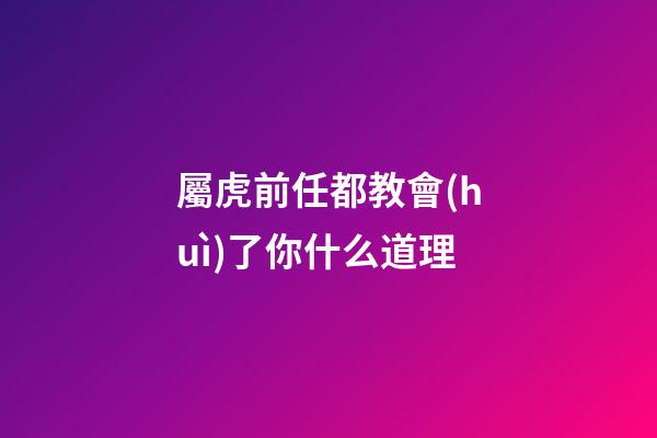 屬虎前任都教會(huì)了你什么道理