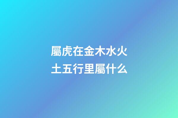 屬虎在金木水火土五行里屬什么