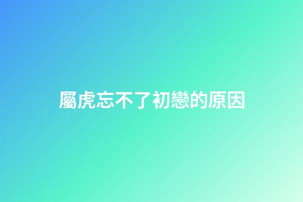 屬虎忘不了初戀的原因