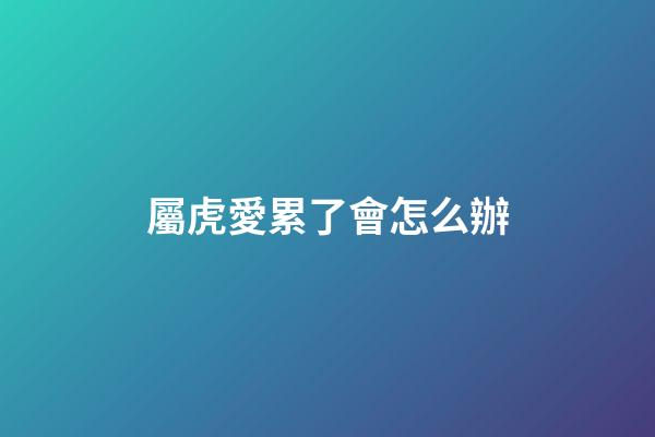 屬虎愛累了會怎么辦