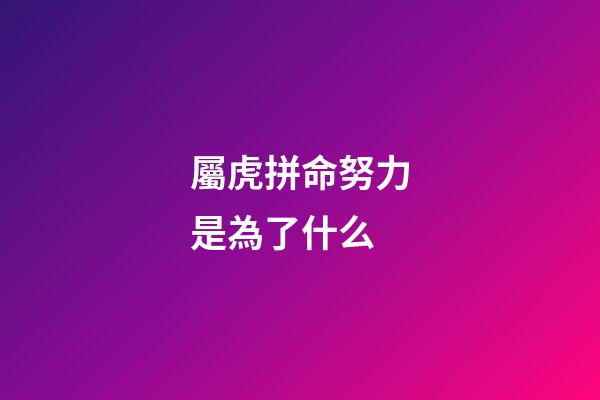屬虎拼命努力是為了什么