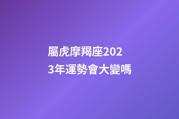 屬虎摩羯座2023年運勢會大變嗎