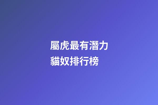 屬虎最有潛力貓奴排行榜