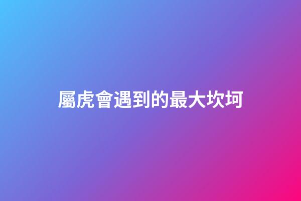 屬虎會遇到的最大坎坷