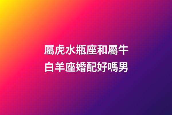 屬虎水瓶座和屬牛白羊座婚配好嗎男-第1張-星座運勢-玄機派