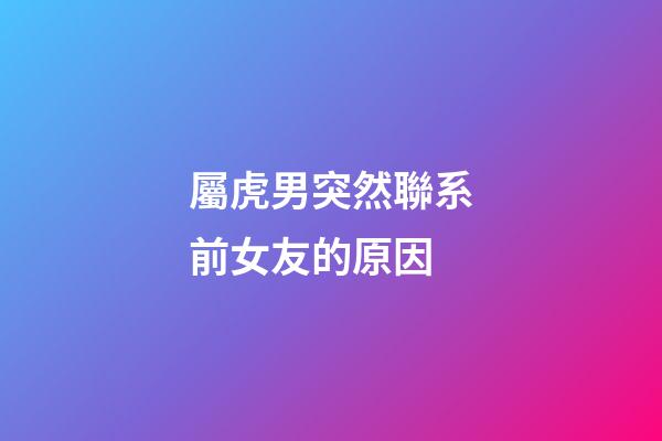 屬虎男突然聯系前女友的原因