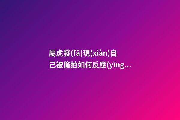 屬虎發(fā)現(xiàn)自己被偷拍如何反應(yīng)